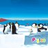 Pigloo 的头像