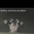 Avatar di thecoinhasasay