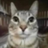 Avatar for fwrize