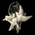 Avatar for duravolo