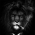 Avatar for NecroPhobic_