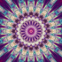 GlitchedOut222 için avatar