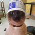 Avatar for Pestana_pt