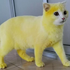 Avatar für YellowKat_