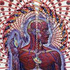 Awatar dla the_hollow_