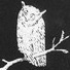 Avatar for heyitsmeRB