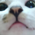 Avatar für kd013n