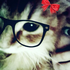 Avatar for Bakavv
