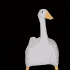 Awatar dla DutchFortune