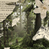 Avatar for xN11ghtfallx