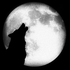 Fenrir_wolf için avatar