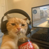 heri_ için avatar