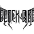 black-bird_PL 的头像