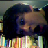 Avatar di Lycanthrope44