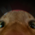 Avatar de baxli