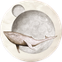 Avatar di veldorian