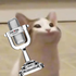 spaghetti_cat_ için avatar