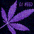 Аватар для DJ WeeD