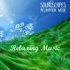 Soundscapes - Relaxing Music のアバター