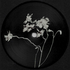 Avatar for hexed2death