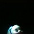 Avatar de ущ