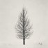 Avatar for Plain Grays