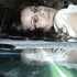 Avatar di ilona_ila