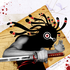 Asessor için avatar