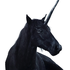 Avatar for hyperdrama
