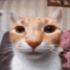 Avatar für fransogrt