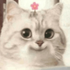 Avatar for tangerinetide