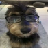 Avatar for gabrielongown