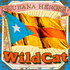 Avatar for WildCat2010