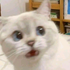 Avatar for kesidaydream