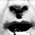 Dima_Filth 的头像