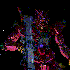 Avatar for FahriHP