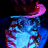 Avatar for xtasea