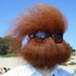 Avatar di PILLZ1