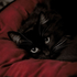 Avatar for sunkye