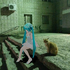 httplxaax 的头像