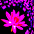 Avatar für LilyUltraviolet