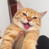 Avatar for Simpblep
