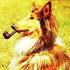 Avatar de amelienbayle