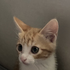 Avatar for smoopies