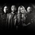 Black Eyed Peas & Shakira 的头像