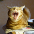 Avatar for das_tabs