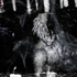Avatar for m4nd4_wrldd