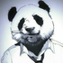 Avatar de pandavh