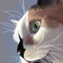Avatar for Kannejbyl