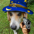 Avatar for brandonlbmx
